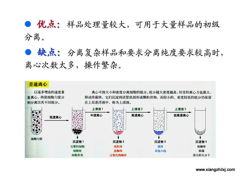 離心機(jī)知識圖解大全